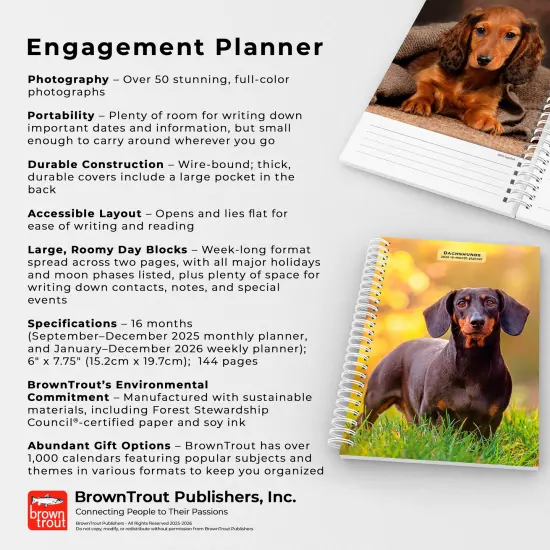 Dachshunds | 2026 6x7.75 Inch Spiral-Bound Wire-O Weekly Engagement Planner Calendar | New Full-Color Image Every Week {6}