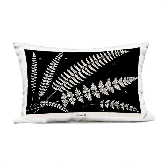 Stupell Industries Fern Studies on Black Outdoor Pillow, 14 x 7 x 20 {1}
