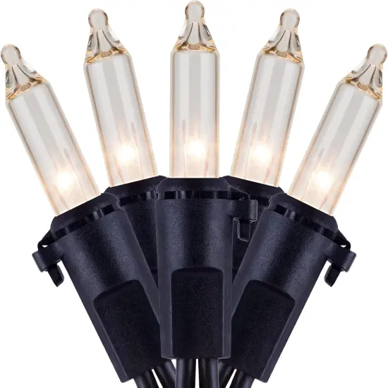 Clear Christmas Lights with Black Wire {1}