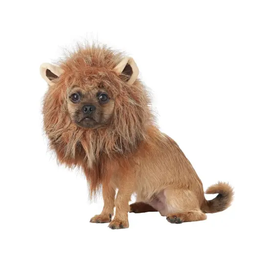King of the Jungle Lion Dog Costume {3}