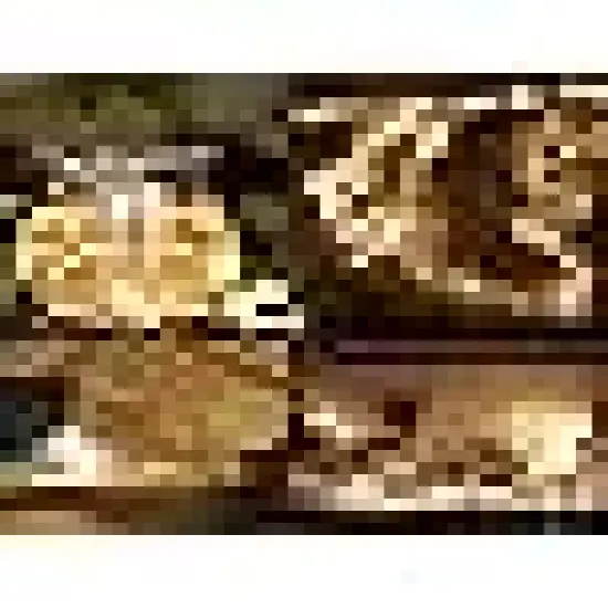 Fairy String Lights Dimmable with Remote {5}