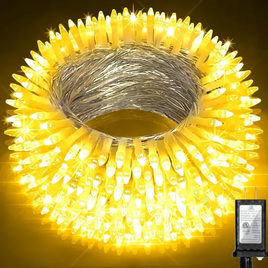 300LED 100FT Christmas String Lights {1}