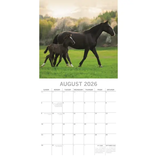 The Gifted Stationary 2026 Square Wall Calendar, Baby Animals, 16-Month Animal Theme Hanging Calendar with 180 Reminder Stickers, Month Planner for Home and Creative Spaces, 12x12 In Multicolor {3}