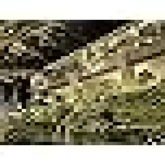 Incandescent Mini String Light {2}