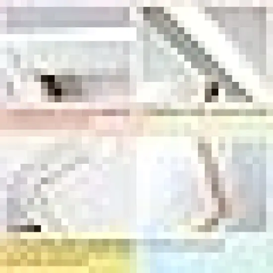 Ready to Paint for Beginners {3}