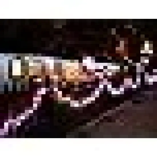 Indoor Outdoor Xmas Tree Wedding Party {5}