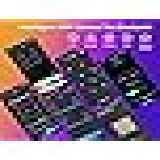 Dimmable RGB Mini Color Changing LED String Lights with {5}