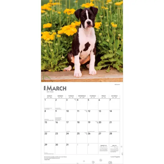 I Love Puppies | 2026 12 x 24 Inch (Hanging) Monthly Square Wall Calendar | Plastic-Free {3}