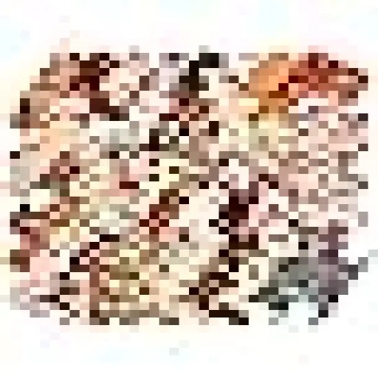 Bundles Sunflower Quilting Fabric Craft for Autumn DIY Sewing {1}