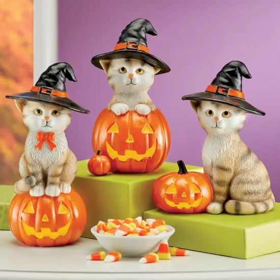 Collections Etc Hand-Painted Pumpkin Witch Cats Halloween Sitters - Set of 3 {1}
