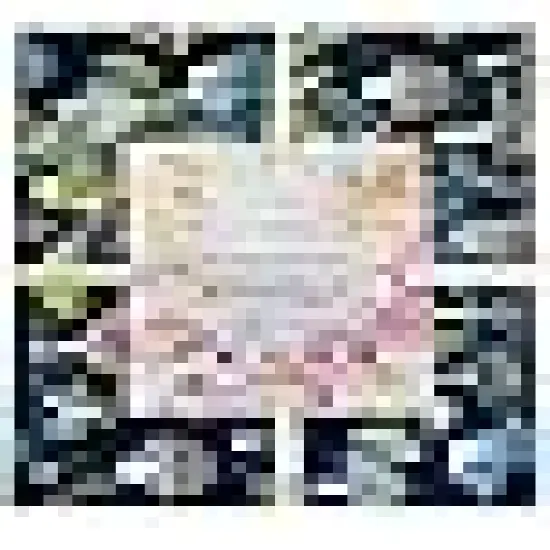 Mushroom Fabric Fat Quarters for Quilting {3}