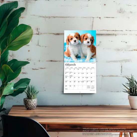Cavalier King Charles Spaniel Puppies | 2026 7 x 14 Inch (Hanging) Monthly Mini Wall Calendar {5}