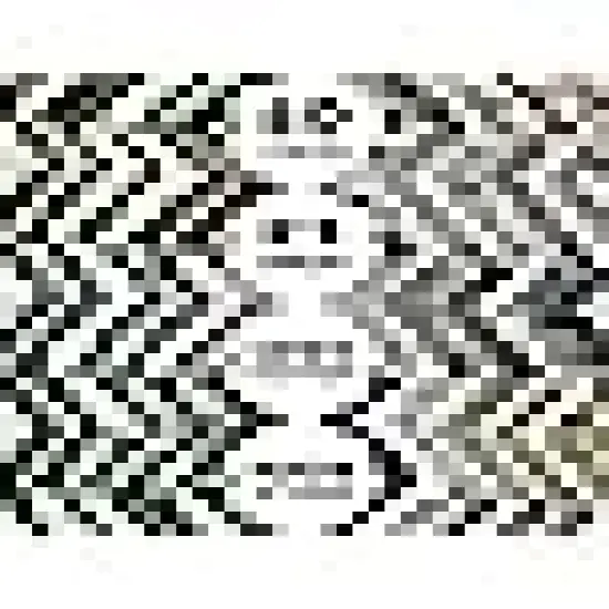 Sewing Fabric Bundle for Patchwork and Crafts {1}