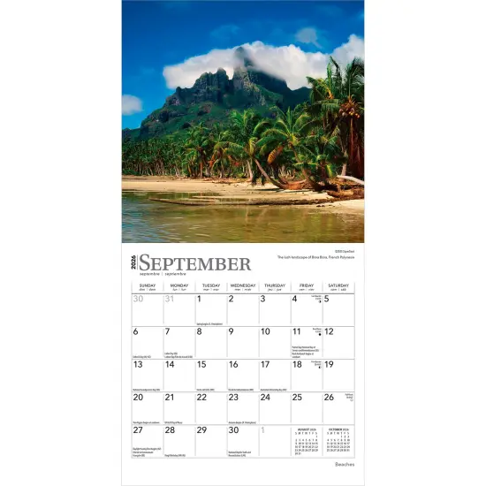 Beaches | 2026 7 x 14 Inch (Hanging) Monthly Mini Wall Calendar {4}