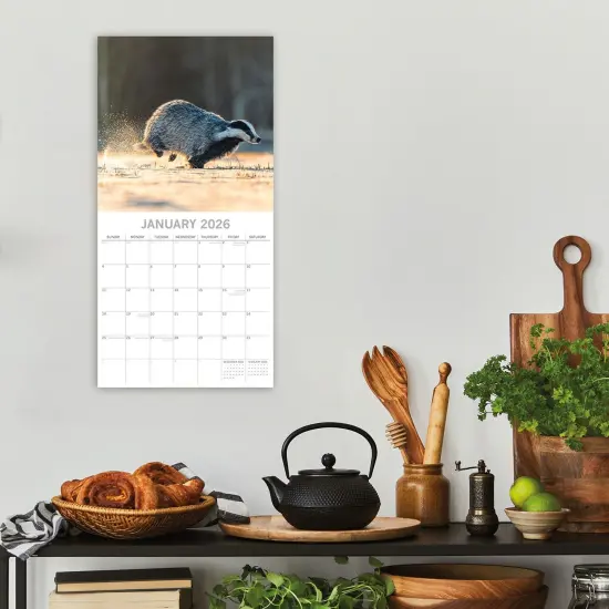 The Gifted Stationary 2026 Square Wall Calendar, Country Wildlife, 16-Month Animals Theme Hanging Calendar with 180 Reminder Stickers, Month Planner for Creative Spaces, 12x12 In Multicolor {2}