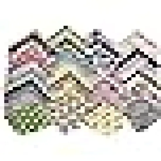 Fabric Squares Sheets Patchwork Craft Cotton Quilting Fabric {2}