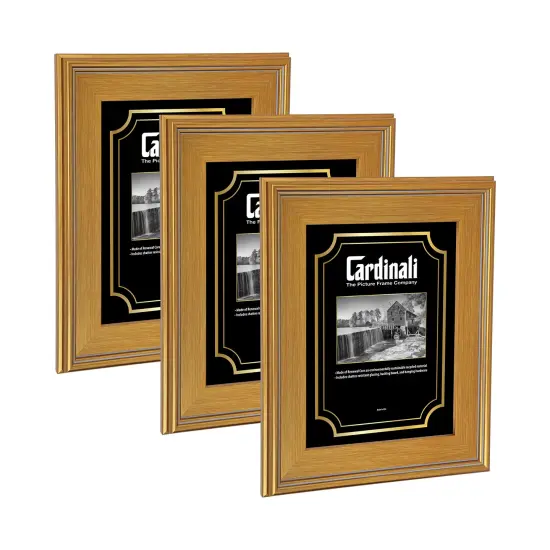 Cardinali Plein Air, Gold 8x10" Picture Frame with Acrylic Glazing & Cardboard Backing, for Photography or Canvas Frame, 3 Wide Moulding, 1/2 Rabbet Depth, D-Ring Hangers Included {1}