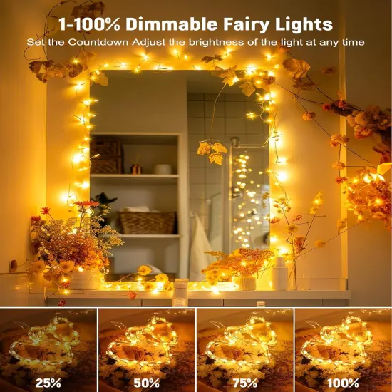 Fairy String Lights - 33 ft 100 LED (Warm White) {4}
