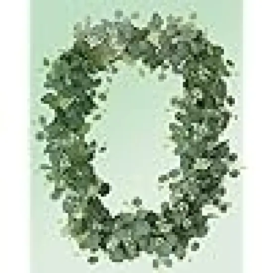 Greenery Fake Silver Dollar Eucalyptus Leaves Vines Table Decor Green Vine Spring Artificial {6}