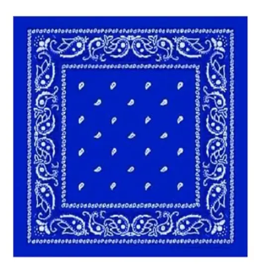 Blue Paisley Bandana Edible Cake Topper-1/4 Sheet {1}