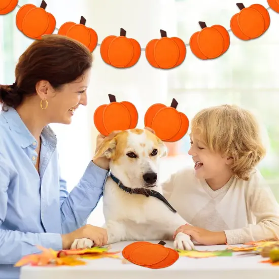 3D Pumpkin Banner Fall Orange Pumpkin Garland Pre-Assembled Pumpkin Felt Banner {4}
