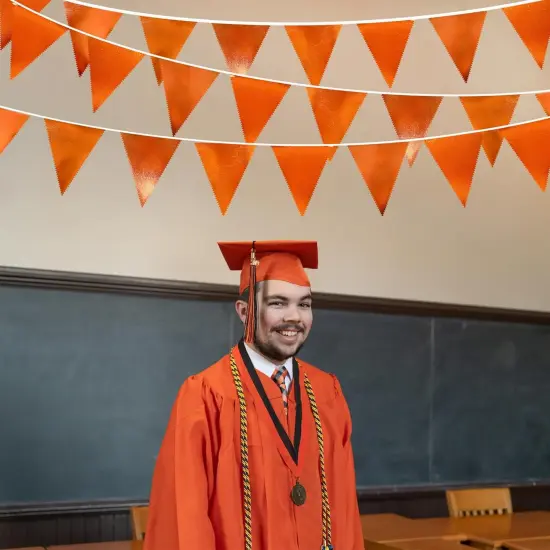 Orange Party Decorations Metallic Fabric Triangle Pennant Banner {4}