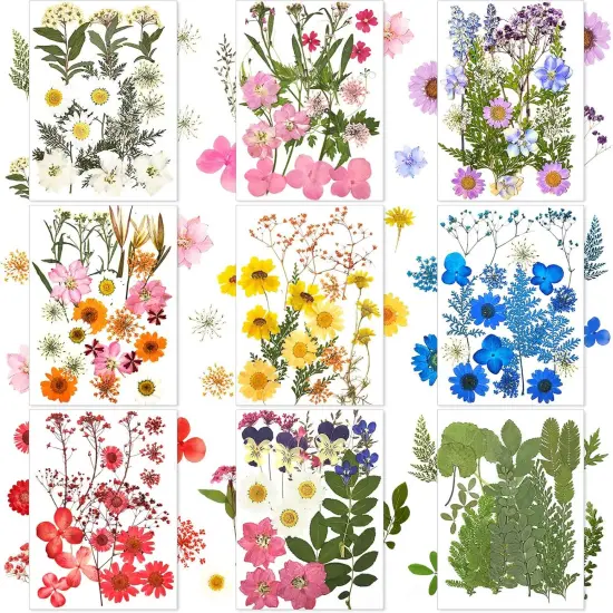 167 Pcs Real Dried Pressed Flowers {1}