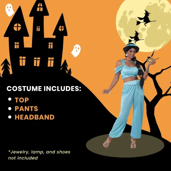 Classic Arabian Princess Adult Costume {5}