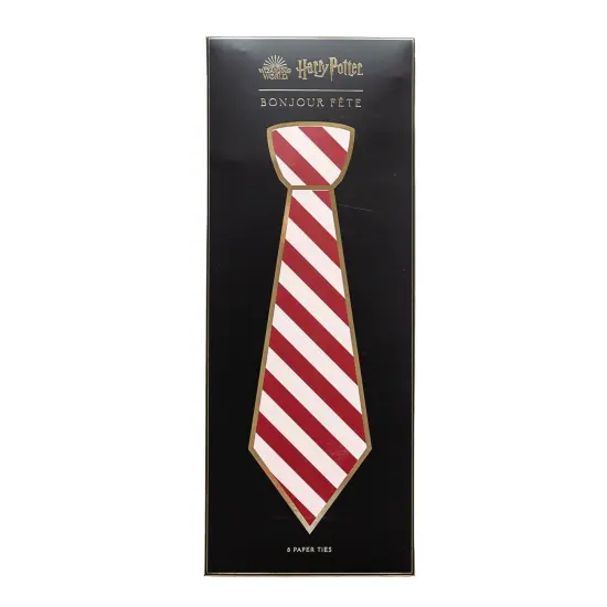 HARRY POTTER X BONJOUR F&Ecirc;TE HOUSE PRIDE MULTICOLOR HOGWARTS TIES {6}