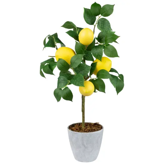 Northlight Artificial Potted Mini Lemon Tabletop Tree - 20" Yellow {3}