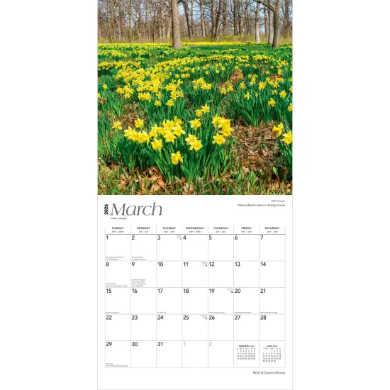 Illinois Wild & Scenic | 2026 12 x 24 Inch (Hanging) Monthly Square Wall Calendar | Plastic-Free {3}