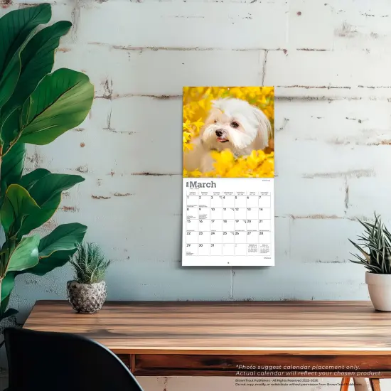 Maltese | 2026 7 x 14 Inch (Hanging) Monthly Mini Wall Calendar {5}
