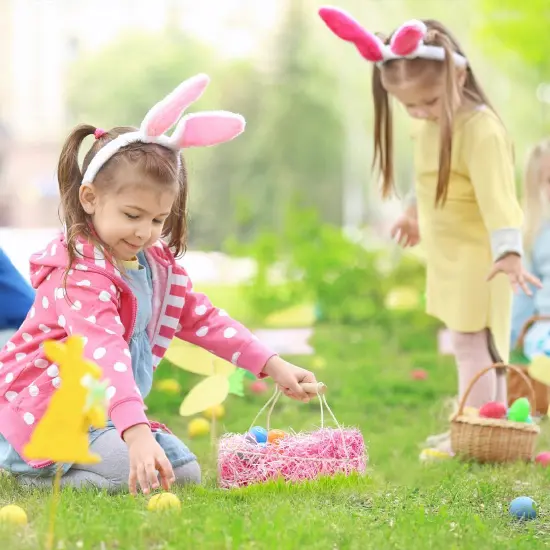 10.5 Oz (320g) Easter Grass Basket Filler {4}