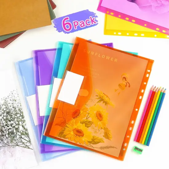 6 Pack Binder Pocket Folders {5}