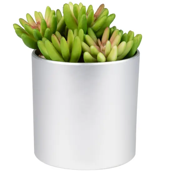 Northlight 4.75" Potted Red and Green Artificial Sedum Succulent {3}