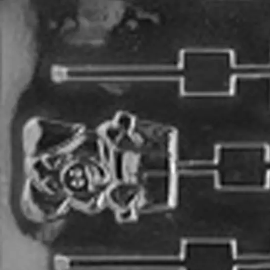 Pig In A Tub Lolly Chocolate Mold for BBQ and Hog Roast Treats {2}