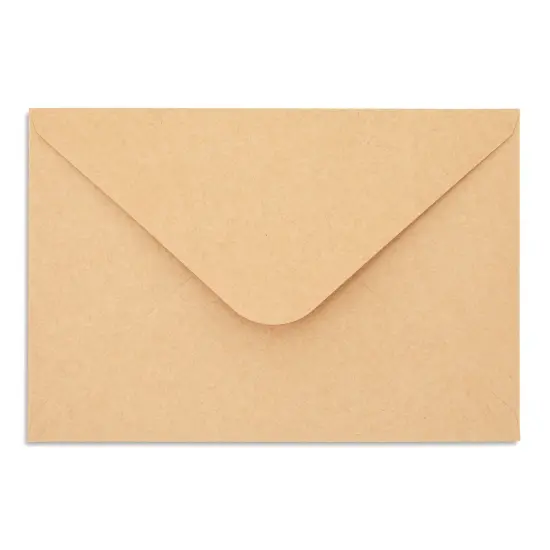 36 Pack Bird Design Blank Cards and Envelopes 4x6 for All Occasions, Birthday, Thank You, Kraft Paper Notecards Brown {7}