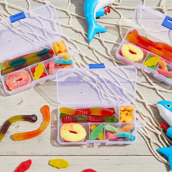 12 Pack Mini Clear Storage Containers with 10 Grid Dividers, Small Plastic Tackle Boxes for Beads, Buttons, DIY Jewelry (2.5 x 5 In) {3}