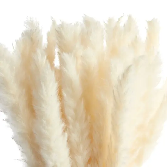 30 Pack Dried White Pampas Grass for Vase, Wedding, Rustic-Style Farmhouse Decor, Boho-Themed Home Decor (17 In) {6}