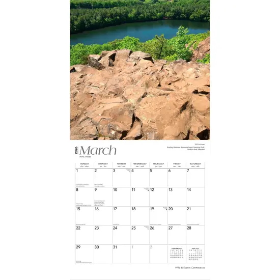 Connecticut Wild & Scenic | 2026 12 x 24 Inch (Hanging) Monthly Square Wall Calendar | Plastic-Free {3}