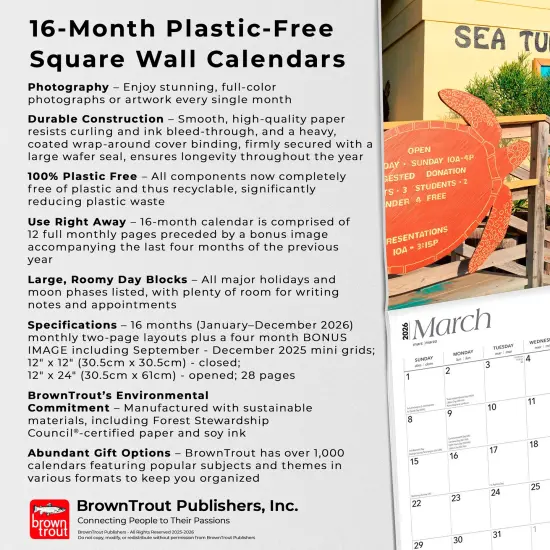 Lone Star State | Texas Places | 2026 12 x 24 Inch (Hanging) Monthly Square Wall Calendar | Plastic-Free {6}