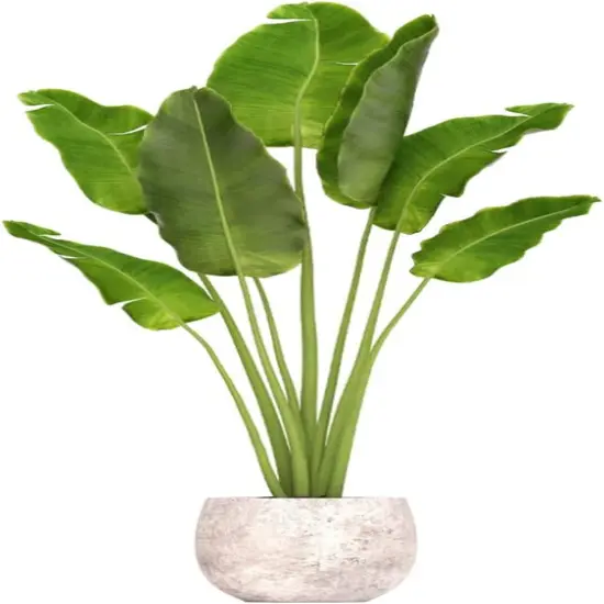 Green Plant Wall Decals 3D Potted Plant {1}