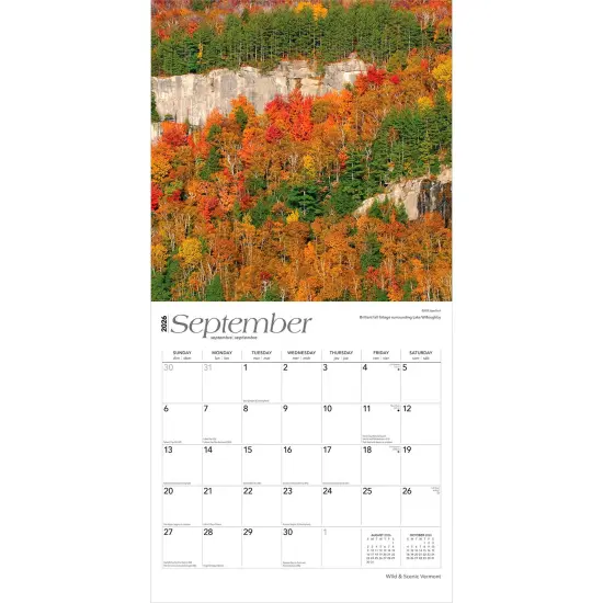Vermont Wild & Scenic | 2026 12 x 24 Inch (Hanging) Monthly Square Wall Calendar | Plastic-Free {4}