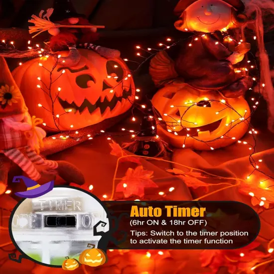 5 Feet Halloween Fairy Lights Battery Operated {2}
