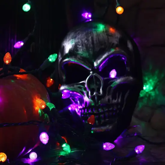 Halloween String Lights Indoor Outdoor {4}