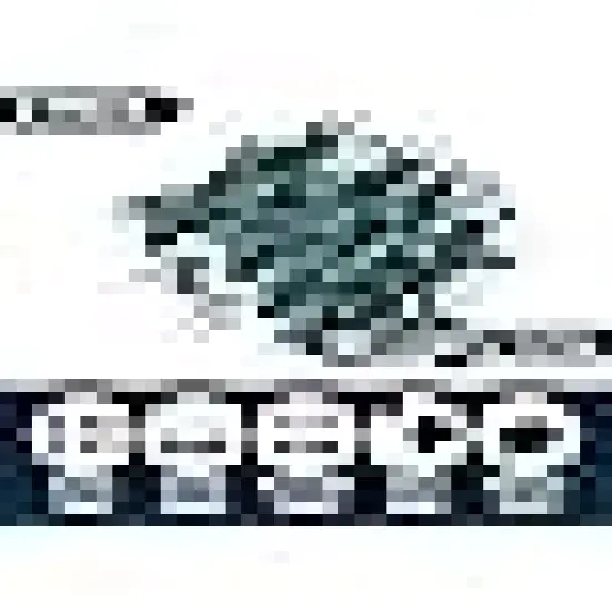 Classroom Bedroom Holiday Wedding Party Garland Birthday Festival {5}