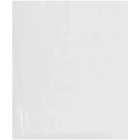 Plymor 20" x 24", 2 Mil Flat Open Clear Plastic Poly Bags {1}
