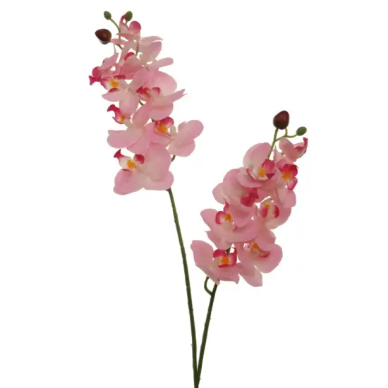 22" Phalaenopsis Orchid Spray X2 w/ 16 Silk Flowers- 3 PACK {3}