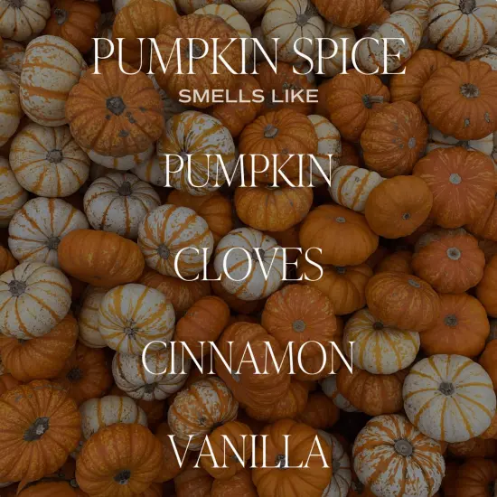 PUMPKIN SPICE SOY CANDLE {2}
