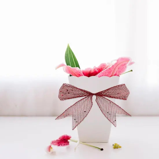 Orange Glitter Mesh Ribbon for Gift Wrapping Bow Making White Web Mesh Wired Mesh Ribbon {3}